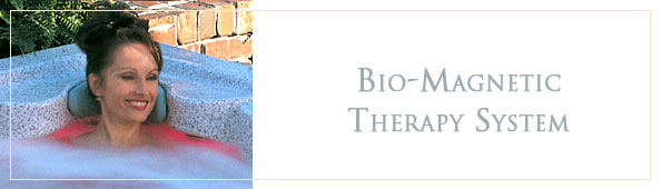 Bio-Magnetic Therapy System